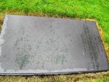 image of grave number 598441